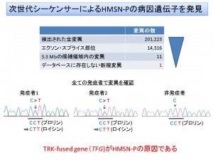 次世代シーケンサーによるHMSN-Pの病因遺伝子を発見 © Hiroyuki Ishiura
