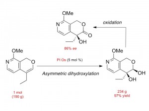 新しい固定化オスミウム触媒(PI Os)による抗がん剤カンプトテシンン中間体の1mol合成 © Sh? Kobayashi