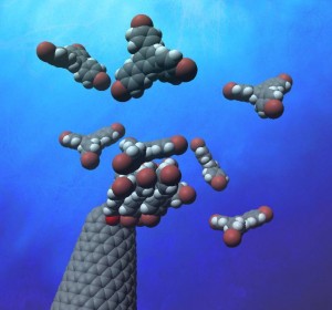 ナノカーボン表面につけたタネ分子の上に数個の分子からなる集合体がたくさん形成し、その一部が大きな結晶へと成長する © Eiichi Nakamura
