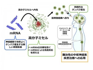 © Satoshi Uchida et al.