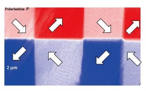 Real-space imaging of ferroelectric domains in Methylbenzimidazole ©Fumitaka Kagawa Real-space imaging of ferroelectric domains in Methylbenzimidazole ©Fumitaka Kagawa
