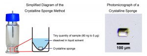 Figure 2: Summary of the crystalline sponge method. Figure 2: Summary of the crystalline sponge method.