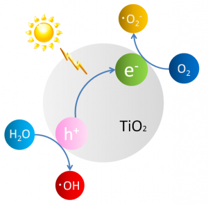 Figure 1: Production of active oxygen by photocatalysis. Figure 1: Production of active oxygen by photocatalysis.
