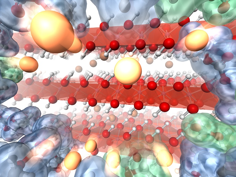 © 2015 Yamada-Okubo Lab