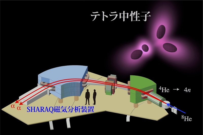テトラ中性子核のイメージ図と用いられた実験装置の模式図 © 2016 Keiichi Kisamori.テトラ中性子核内の4個の中性子の分布の想像図と実験に用いられたSHARAQ磁気分析装置。