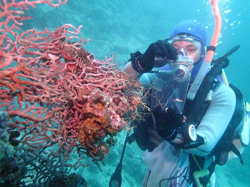 Project Assistant Professor Masanori Okanishi is an expert in brittle and basket star taxonomy. In this photo, he collects a specimen of a basket star, Astroglymma sculpta in Kochi Prefecture in 2015. As a child, I was fascinated by mysterious, unidentified animals like the Loch Ness Monster, Ogopogo, and Bigfoot. In my second year of university, I learned about the specialty of taxonomy and decided that this would be my career, finding and identifying new creatures. Photo by Masato Hirose, Kitasato University. © 2018 Masato Hirose. Project Assistant Professor Masanori Okanishi is an expert in brittle and basket star taxonomy. In this photo, he collects a specimen of a basket star, Astroglymma sculpta in Kochi Prefecture in 2015. As a child, I was fascinated by mysterious, unidentified animals like the Loch Ness Monster, Ogopogo, and Bigfoot. In my second year of university, I learned about the specialty of taxonomy and decided that this would be my career, finding and identifying new creatures. Photo by Masato Hirose, Kitasato University. © 2018 Masato Hirose.