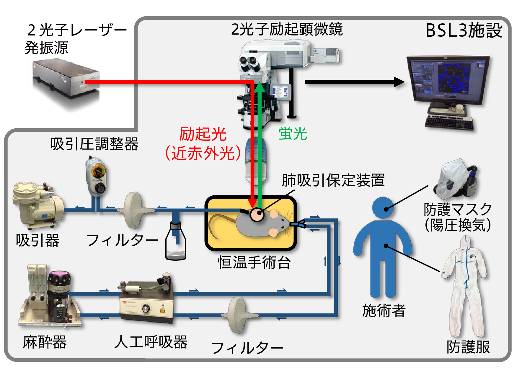 images