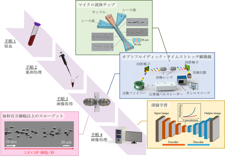 images