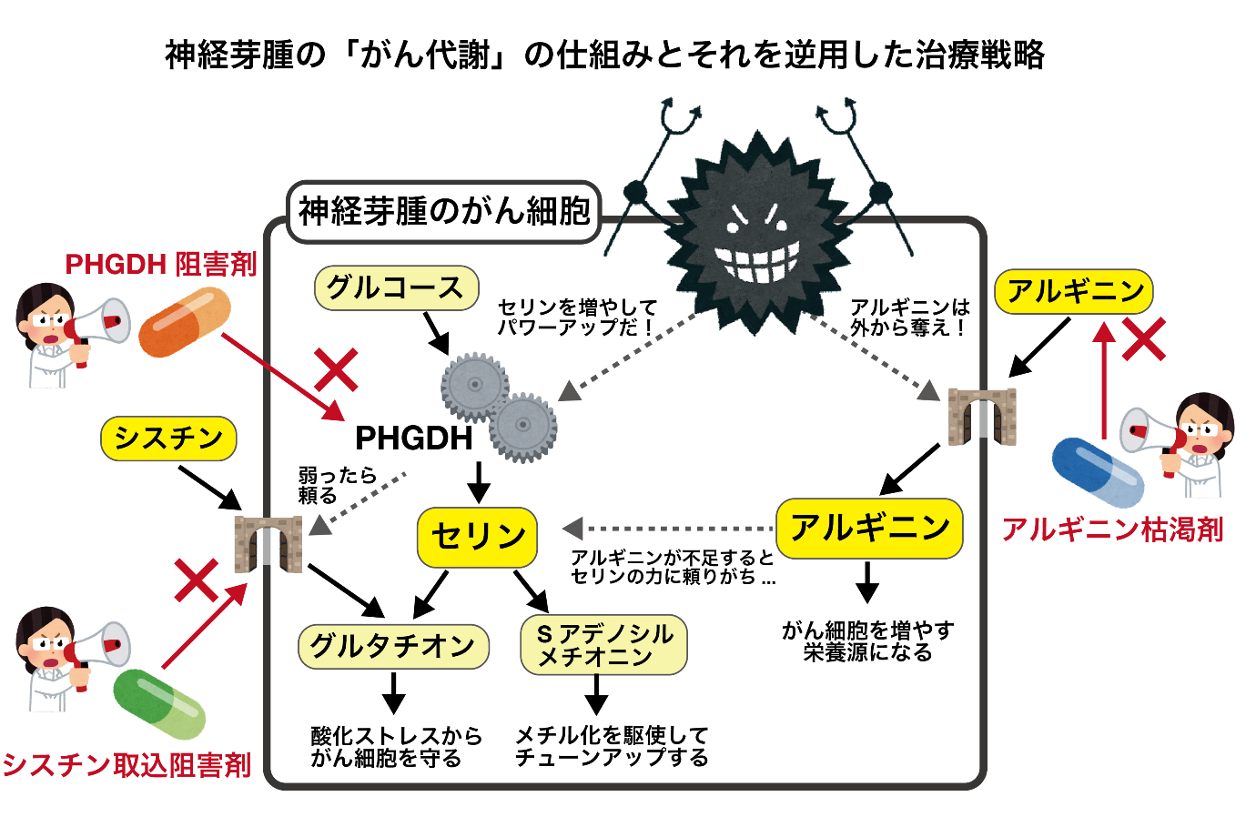images