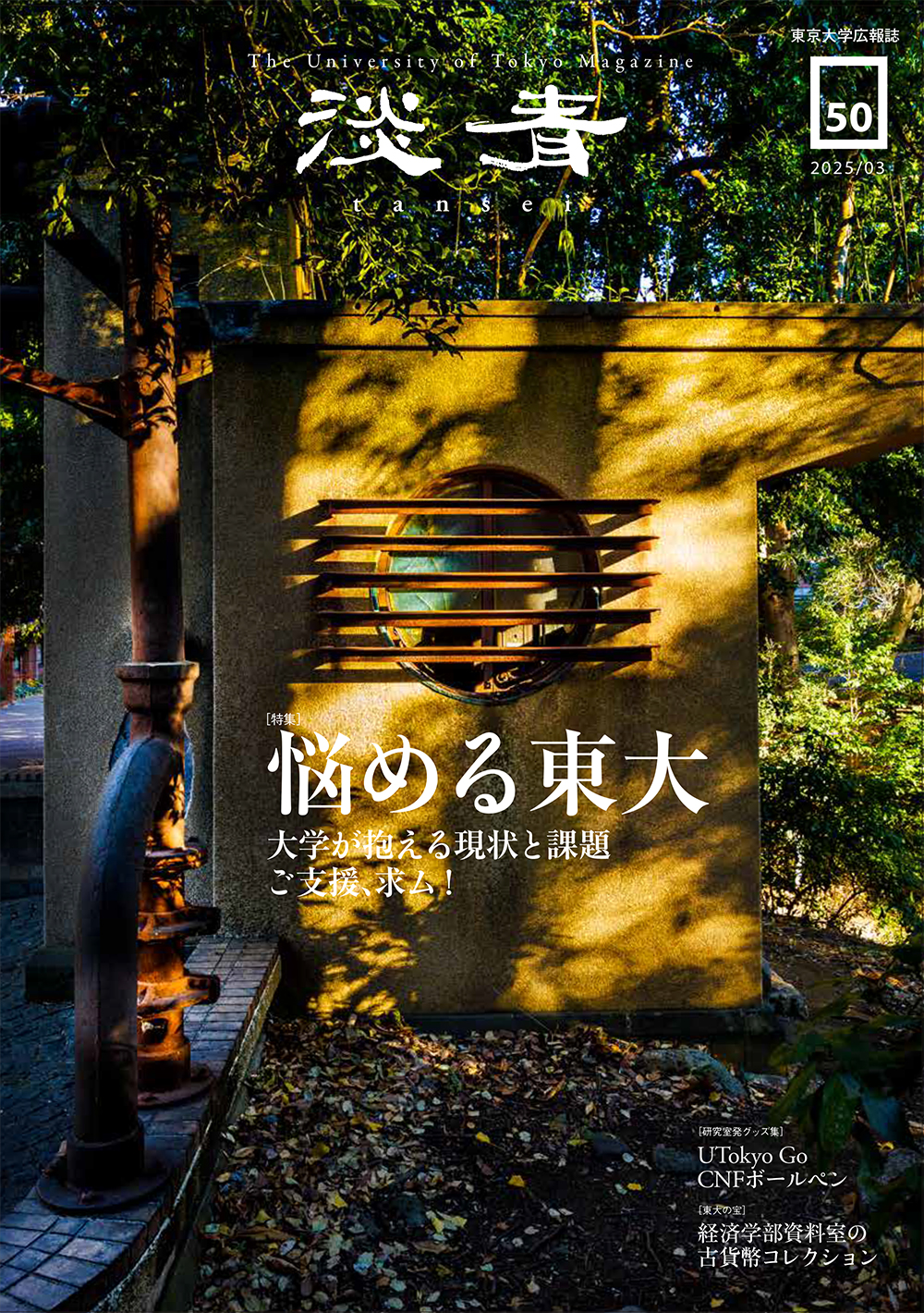 淡青50号の表紙画像