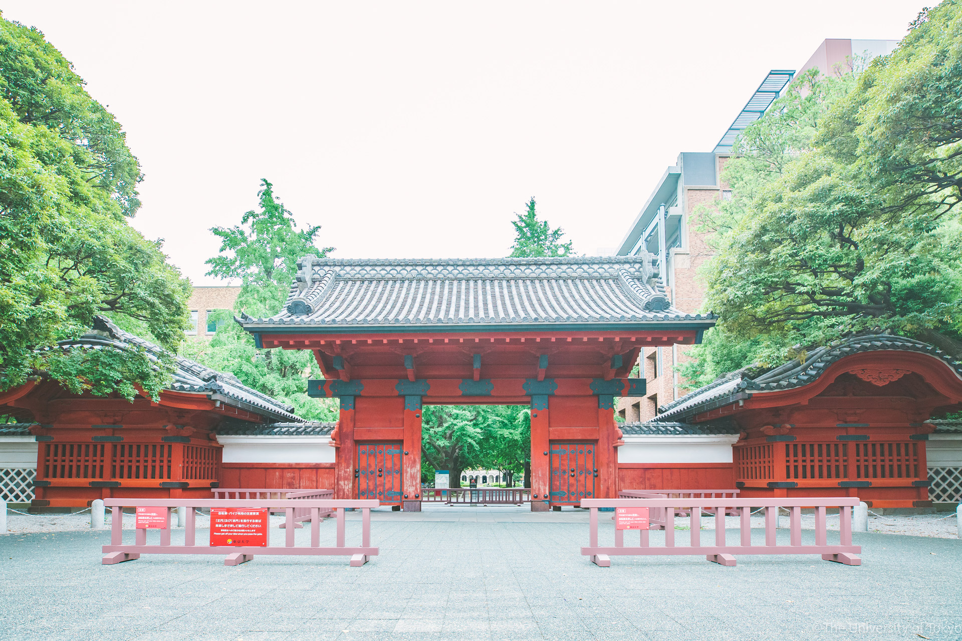 赤門