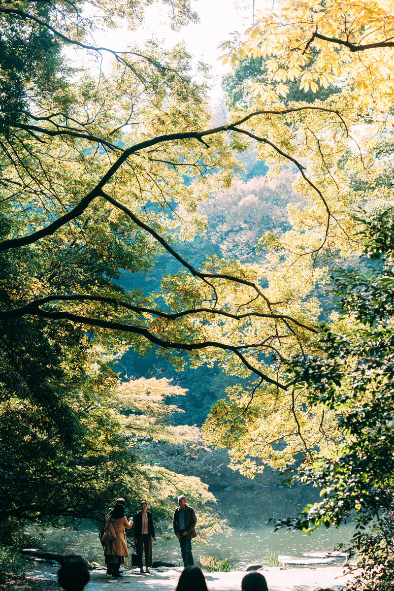 Sanshiro Pond