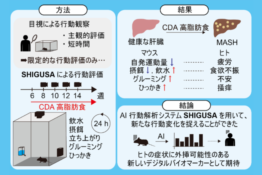 images